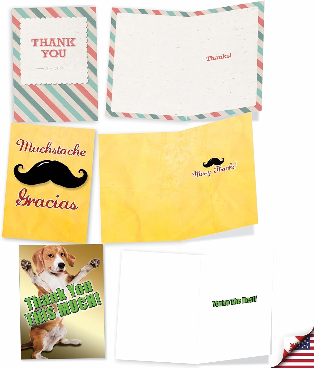NobleWorks 10 Assorted Box Set Hilarious Thank You Greeting Cards w/5 x 7 Inch Envelopes (10 Designs, 1 Each) Much Gratitude AC7851TYG-B1x10