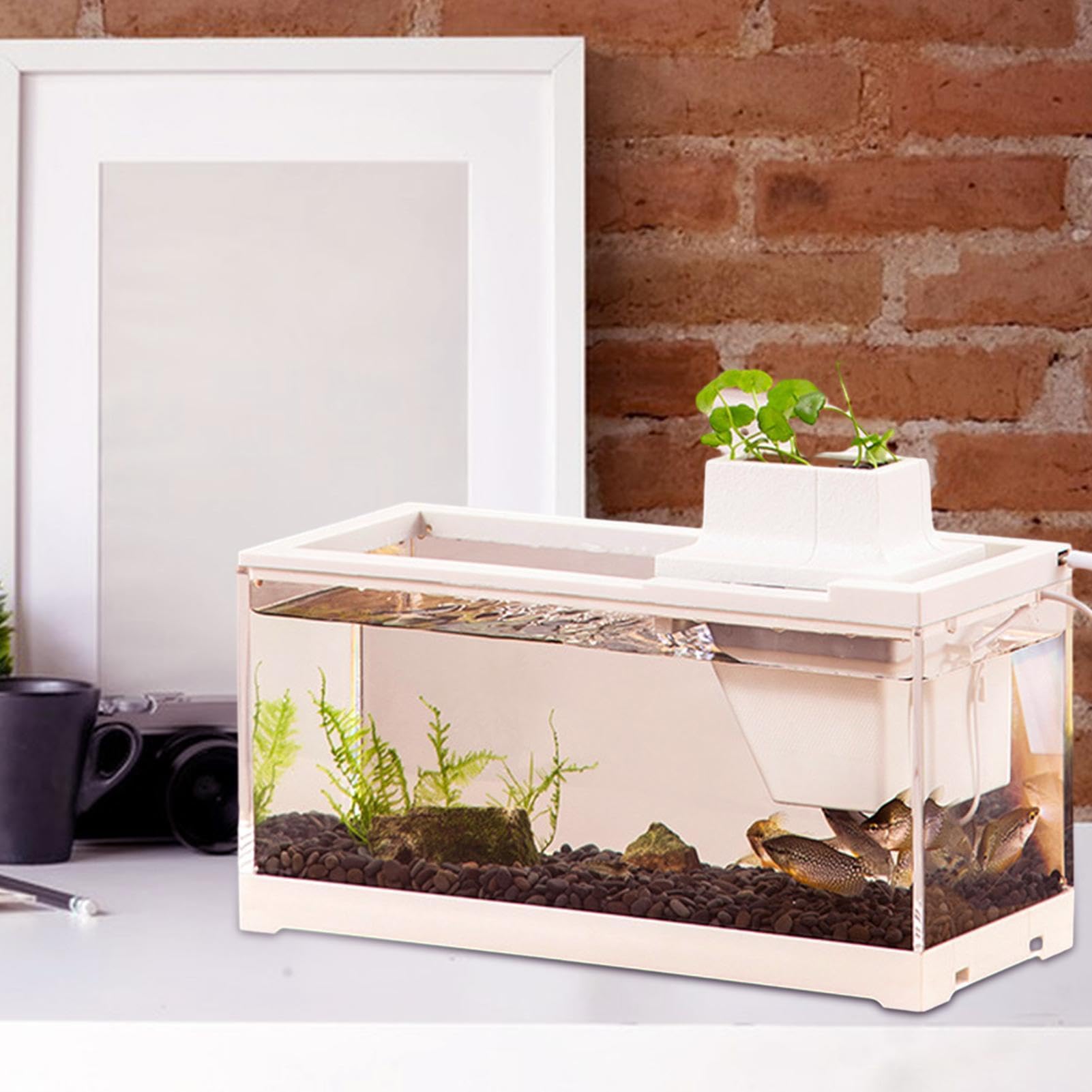Acquario da scrivania, Acquario da tavolo acquario aperto grande e a tenuta | con pompa 'acqua Mini Acquario per Scrivanie, Scaffali, Camere da , Soggiorni