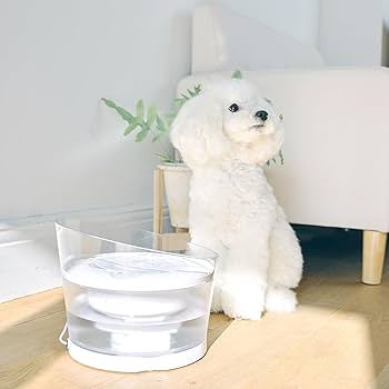 Amazon.co.jp: GEX Pure Crystal Glassy R 0.3 gal (1.5 L) Dog