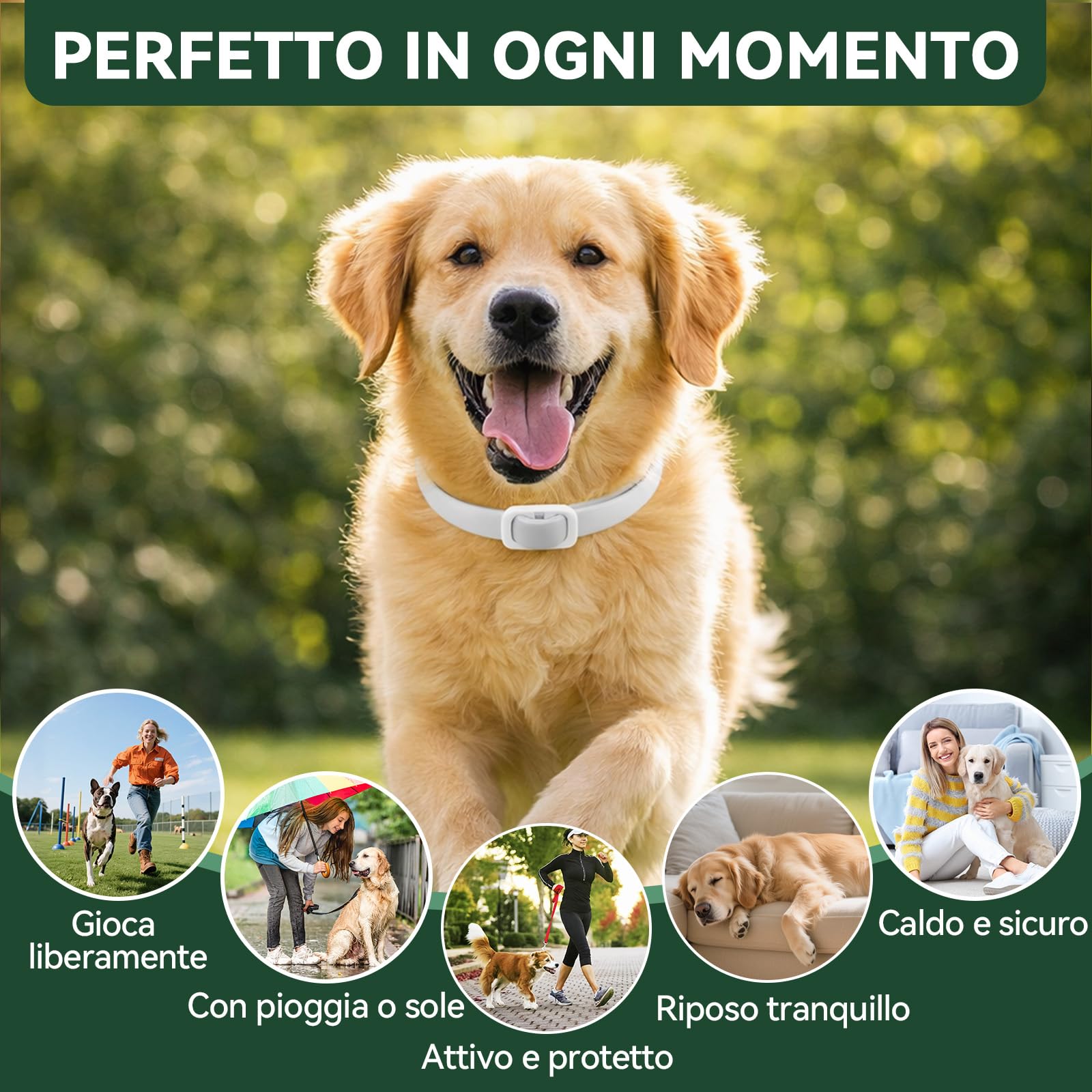 Collare Antiparassitario per Cani, Collare Antipulci Cane, Protezione Efficace, Naturale, Impermeabile, Regolabile, Collari Antiparassitari per Cani per Piccoli, Medi e Grandi a Tutte le Razze,65cm