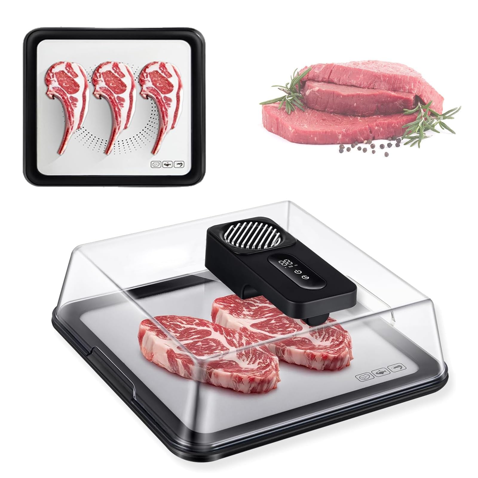 Scongelamento elettrico con batteria da 2000 mAh, scongelamento rapido in 10 minuti per alimenti surgelati, vassoio di sbrinamento capacità 4,2 l