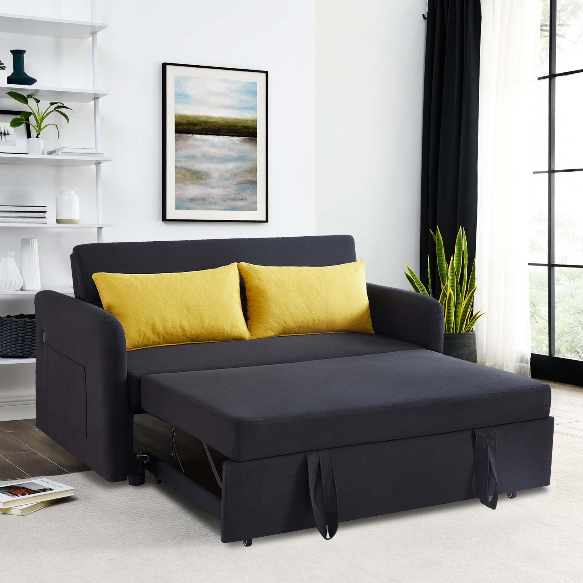 SumKea Pull Out Couch 