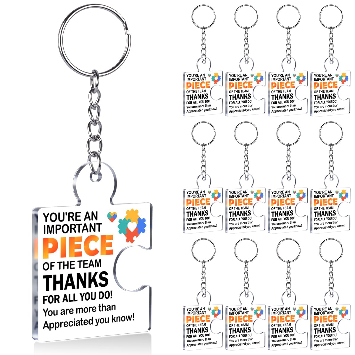 Team Appreciation Gifts Bulk Thank You Keychains for Coworkers