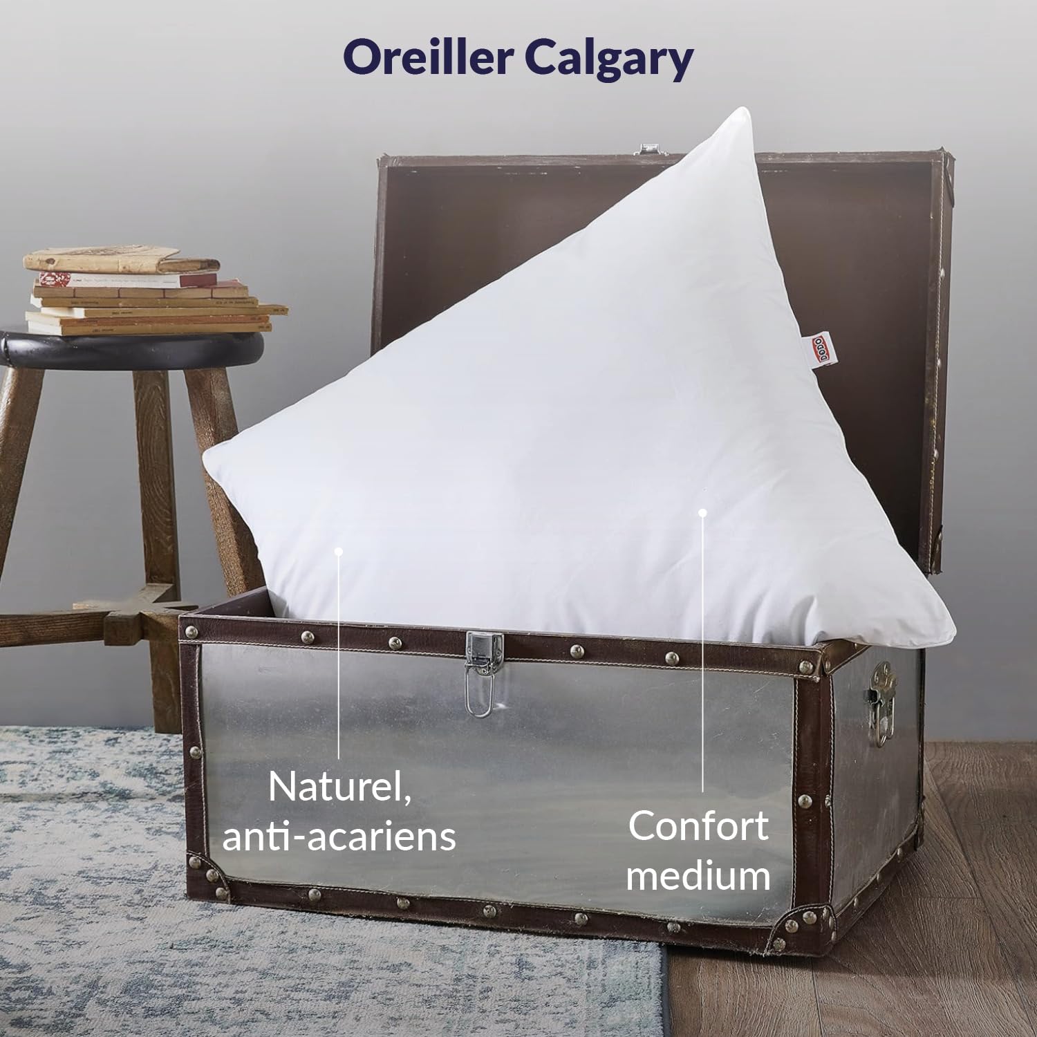 DODO - Oreiller Naturel Anti-acariens 65x65 cm - Confort Médium, Zip Invisible - Enveloppe 100% Coton Percale - Garnissage 30% Duvet 70% Plumettes - Lavable en Machine à 40°C