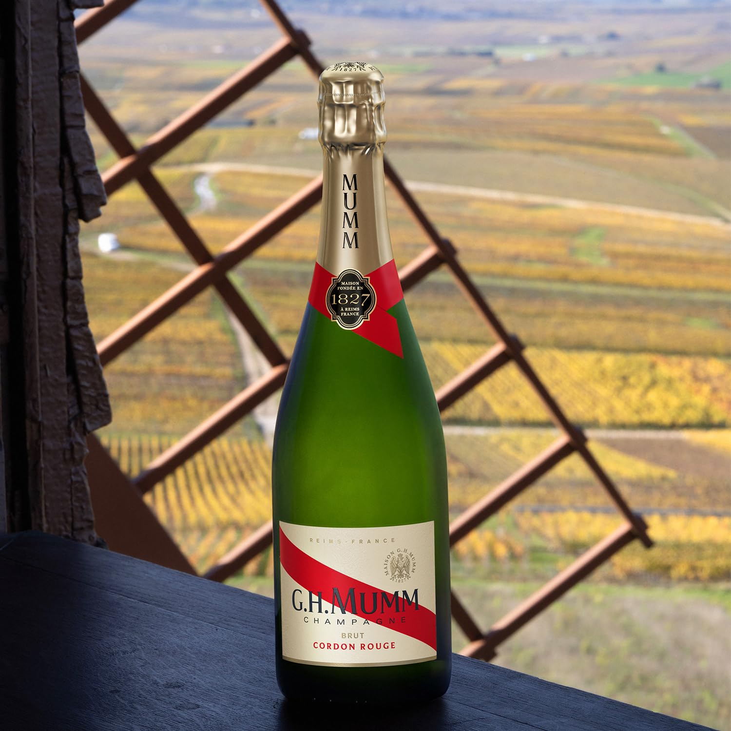Mumm Cordon Rouge Brut : Amazon.co.uk: Grocery