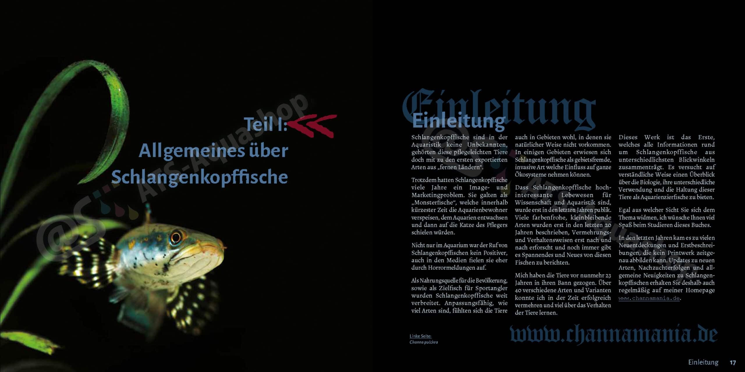 Schlangenkopffische - Wissenschaft, Aquaristik und Natur