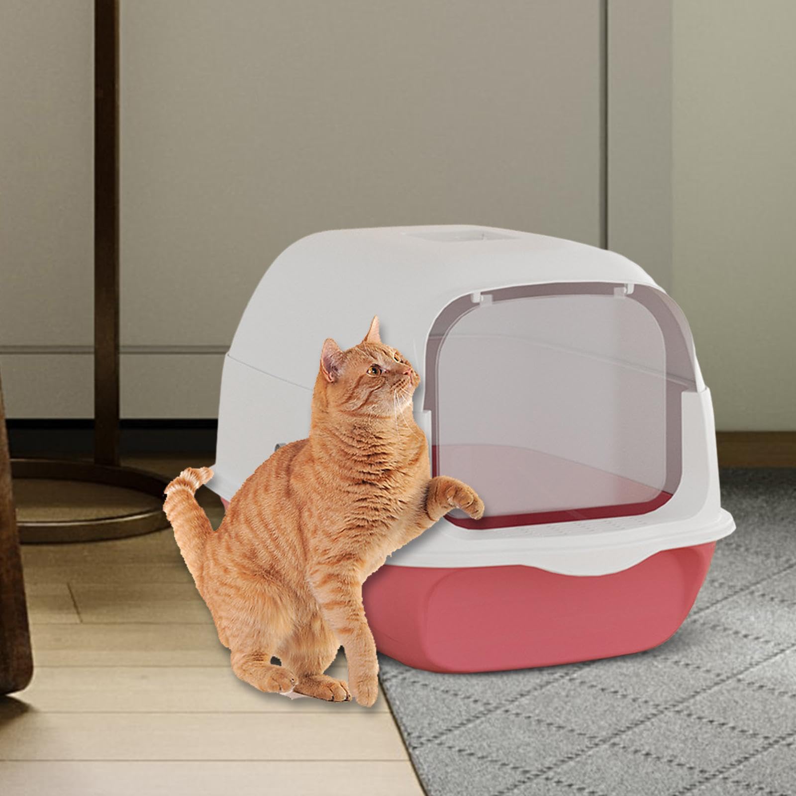 Bac à Litière Entièrement Couvert pour Chat, Pliable et de Sable, avec Porte, Cyan