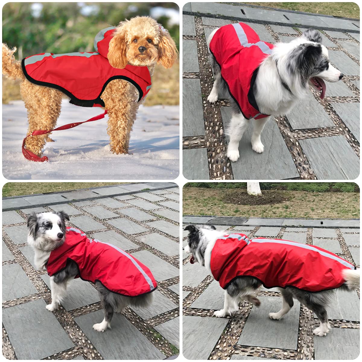 Idepet Chaqueta Impermeable para Perros 2 en 1, Mono liviano para Mascotas, con Capucha para Perros, Cubierta Completa, Transpirable, para Lluvia, para Perros pequeños, medianos y Grandes (M, Rojo)