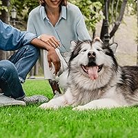 Vista 7 de FREADEM - Alfombra de césped artificial de 8 x 42 pies, alfombra de césped artificial con drenaje y respaldo de goma, alfombra de césped artificial