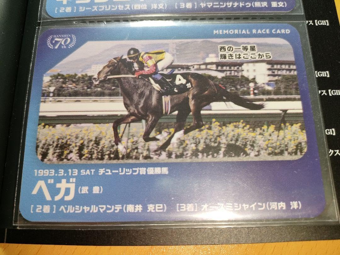 Amazon.co.jp: ベガ 武豊 メモリアルレースカード JRA 競馬 競馬カード 