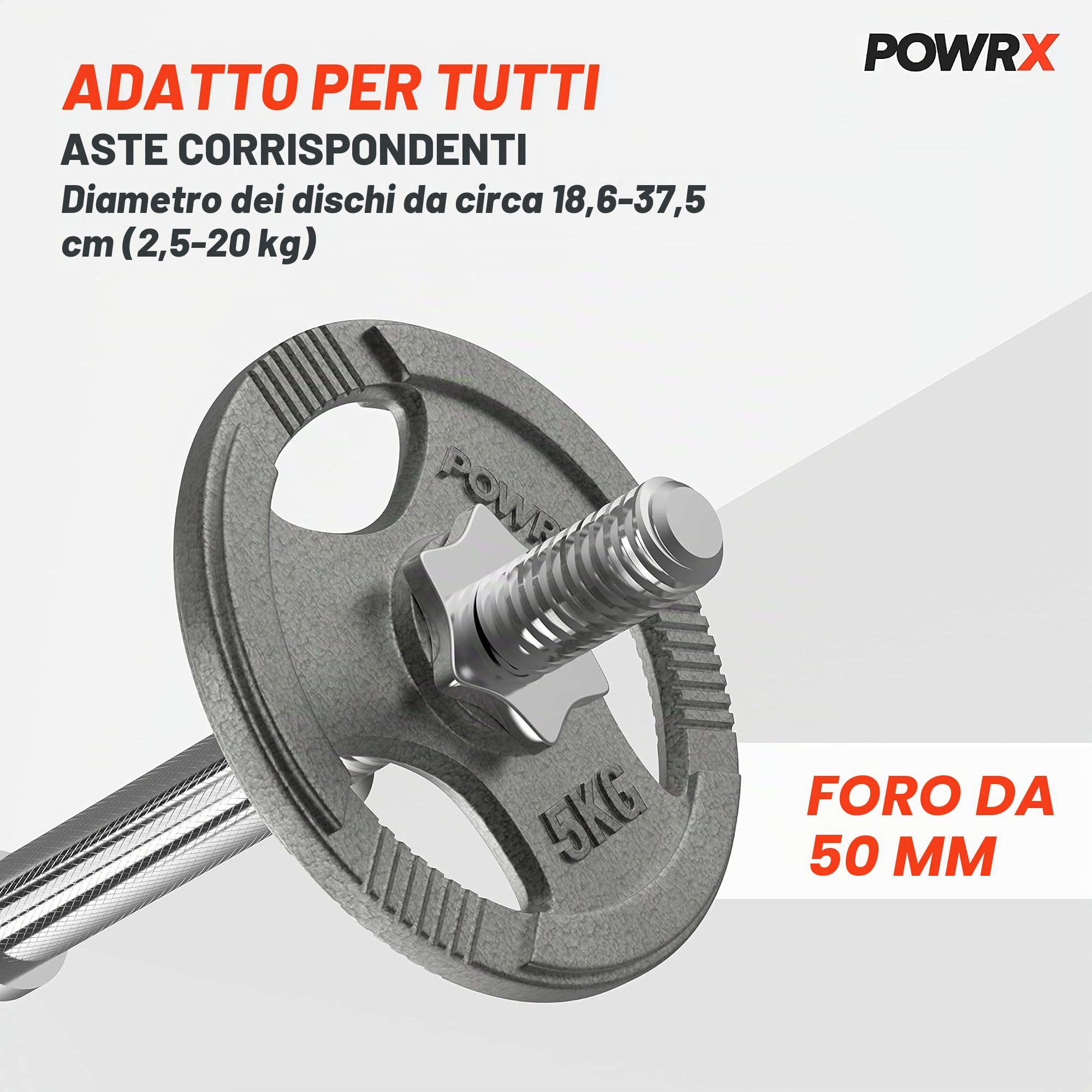 Dischi pesi OLIMPICI 5-40 kg - Ideali per manubri e BILANCIERI olimpionici con braccio da 50 mm - (2 x 5 kg/Argento)