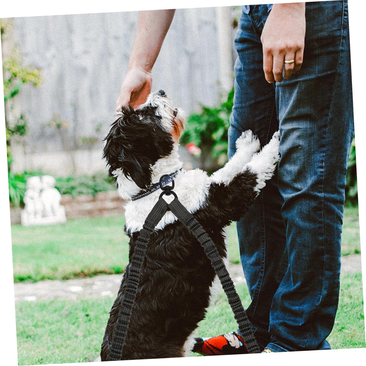 Gatuida Correa Doble para Perros Reflectante de Poliéster Diseño Ergonómico, Resistente y Cómoda para Paseos al Aire Libre, Paquete de 3 Unidades