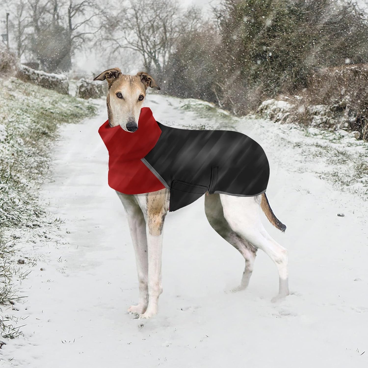Greyhound Winter Coat, Salukis Jumper Whippet, Greyhound Jacket Waterproof - Image 3
