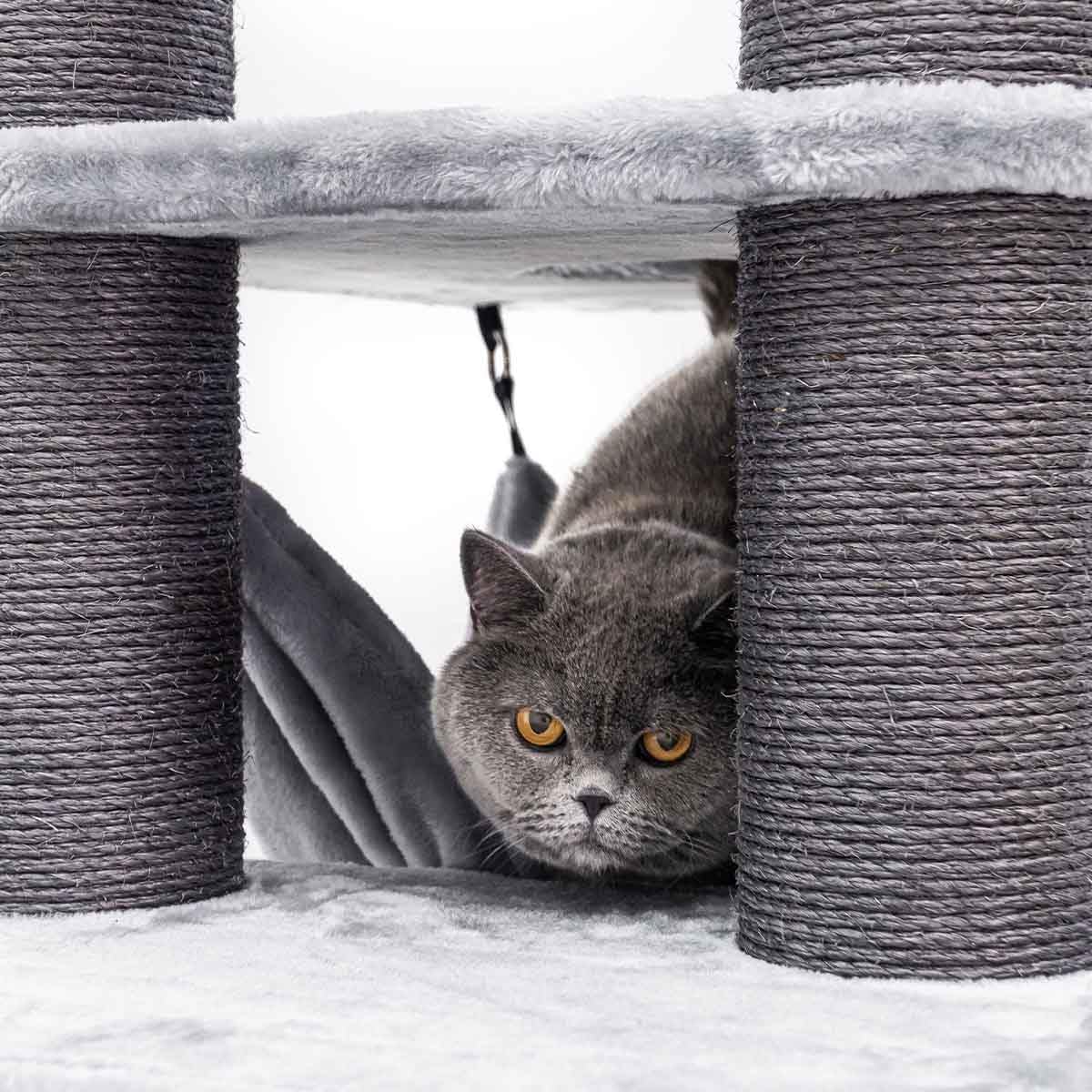 Petrebels Designerski drapak Interstate 178 cm, designerski drapak duży o grubości Ø 12 pni sizalowych, kolor szary