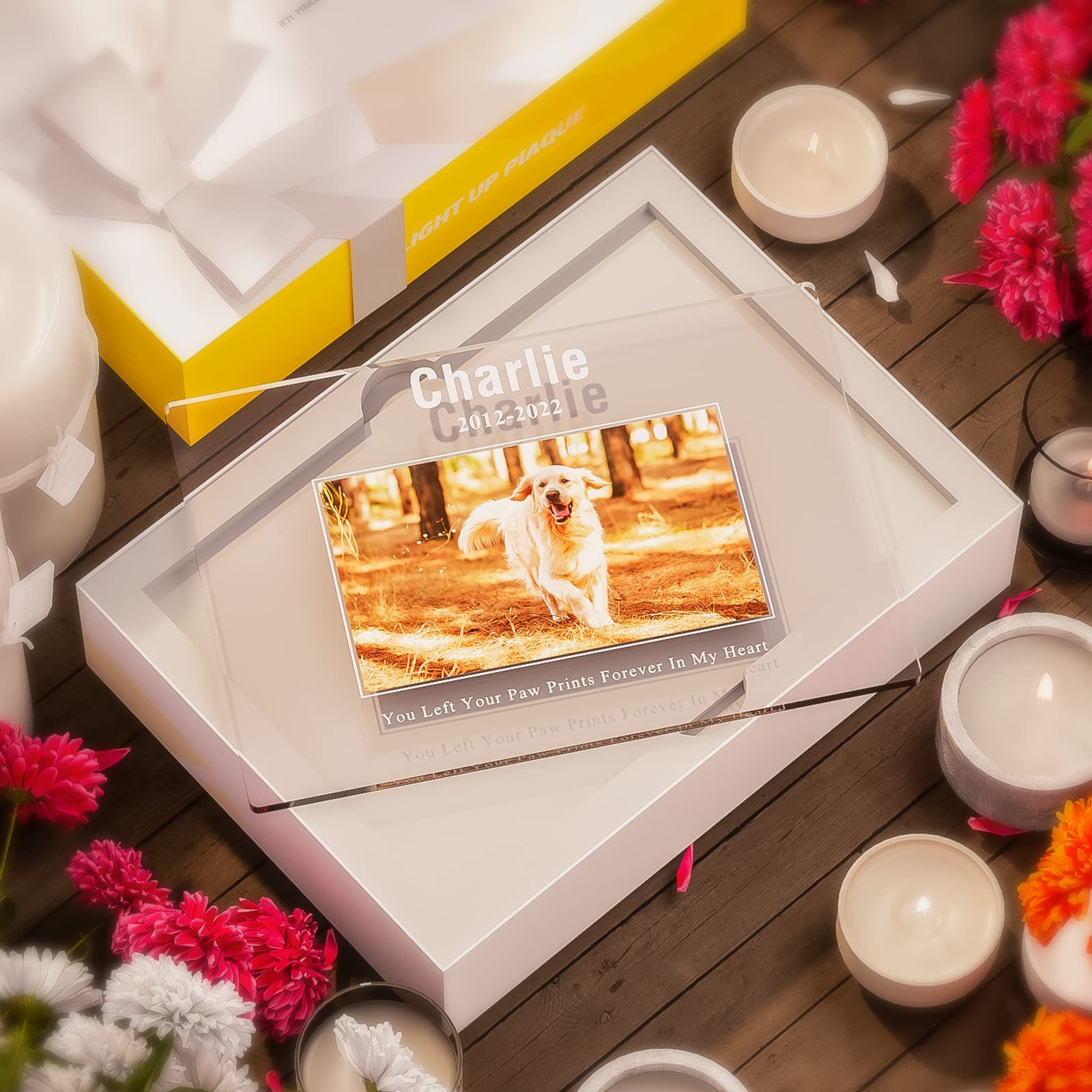 View 5
