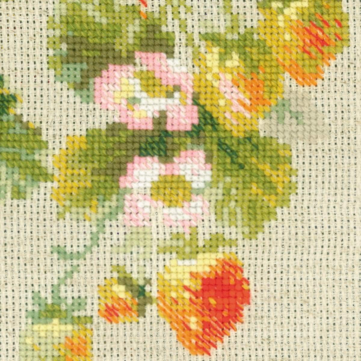 RIOLIS 1551 14 Count Strawberry Counted Cross Stitch Kit, 7.5" x 19"