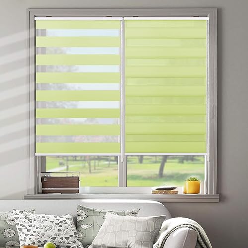 SUAKY Persianas enrollables transparentes de cebra, color amarillo y verde, persianas de doble capa con cenefa, control de luz transparente o de