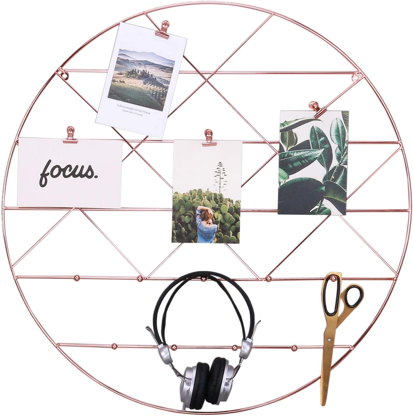 PLINRISE Round Wall Gird Panel, Multifunctional Wire Photo Organizer & Hanging Display, Decorative Wall Storage Organizer Rack with Coat Hook, Rose Gold