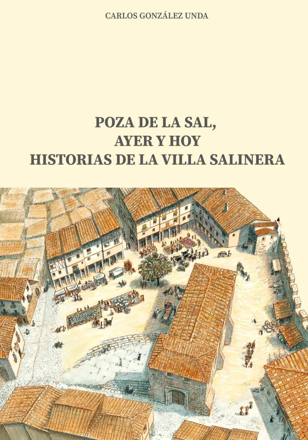 POZA DE LA SAL, AYER Y HOY: HISTORIAS DE LA VILLA SALINERA