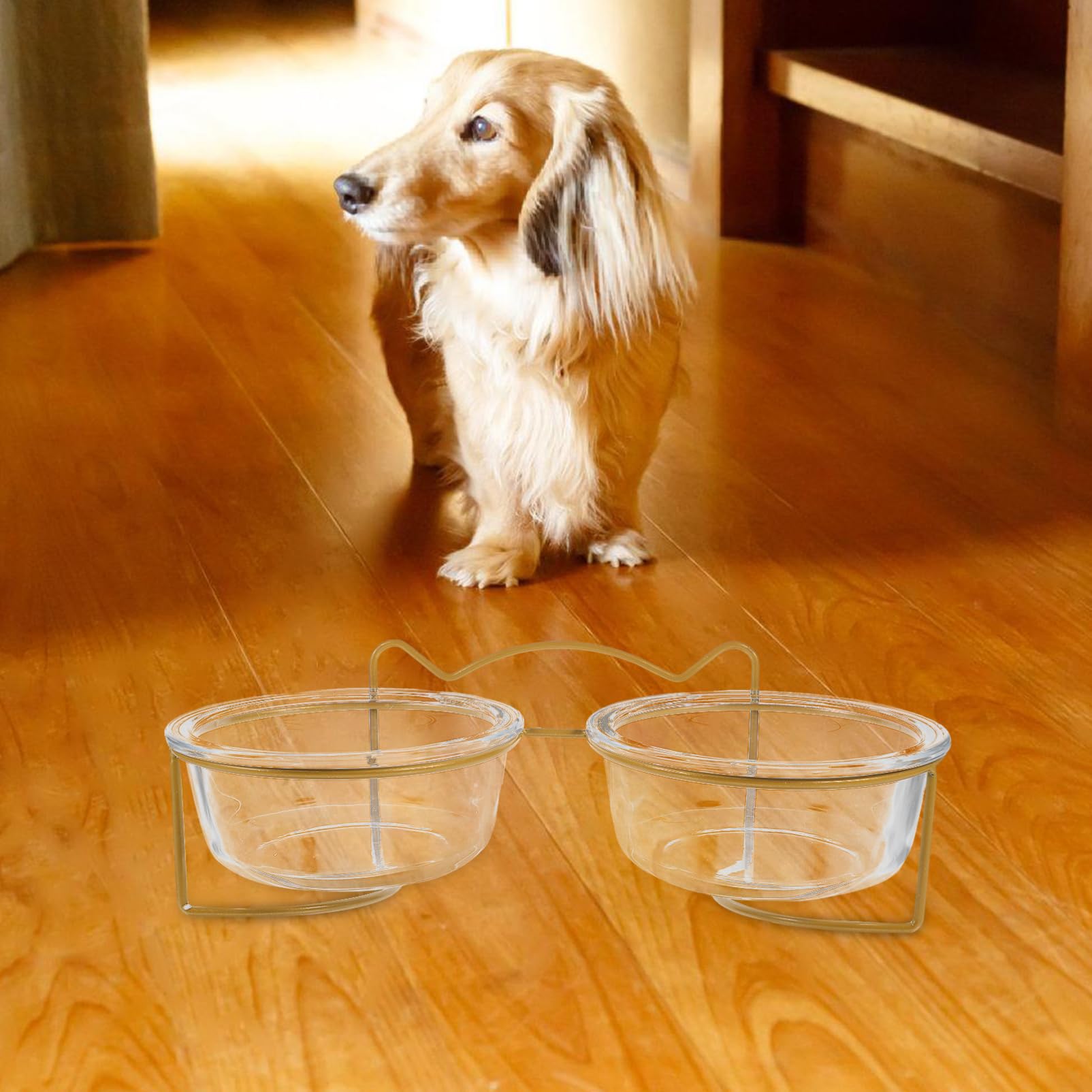 Kisangel Gamelle Surélevée pour Animaux De Compagnie Inclinée Verre pour Chat Et Chien Double Gamelle Haute pour Nourriture Et Eau