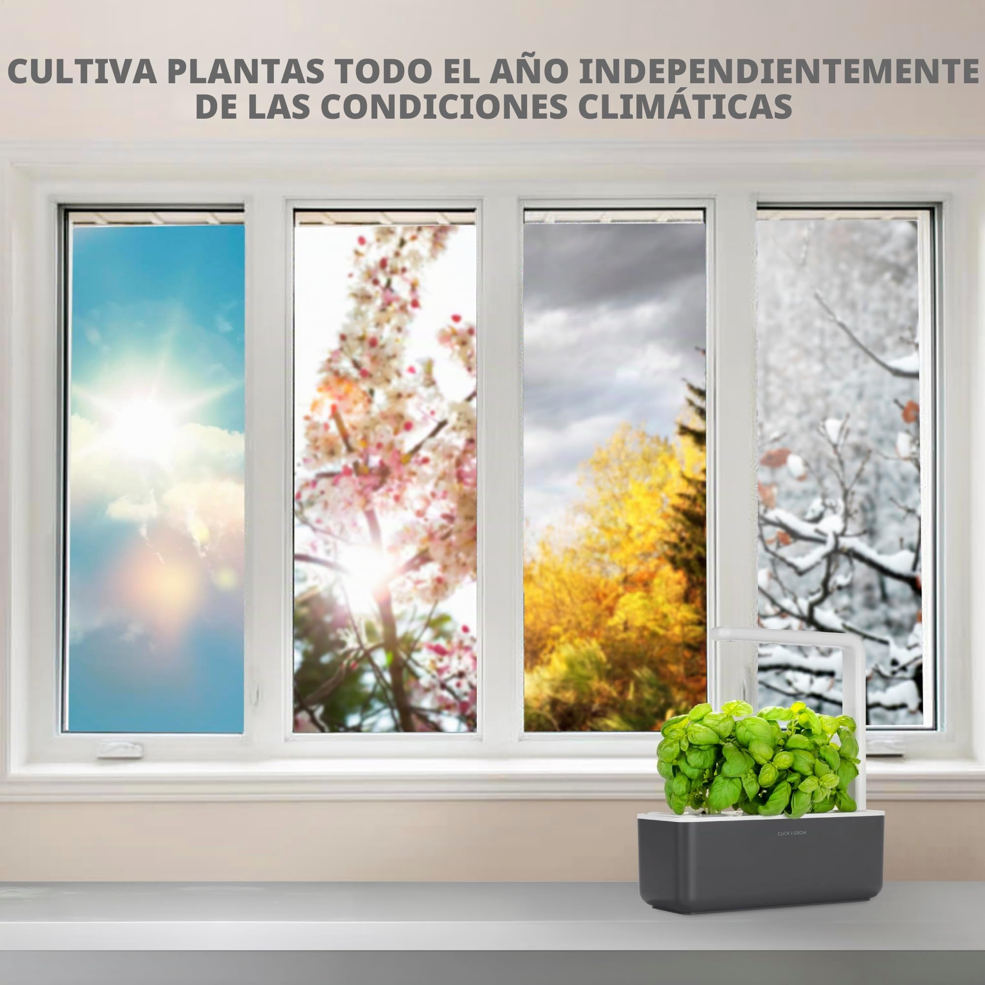 Click & Grow Smart Garden, Huerto Inteligente de Interior con 3 Cápsulas de Cultivo, Iluminación y Riego Automáticos, más Fácil que el Cultivo Hidropónico