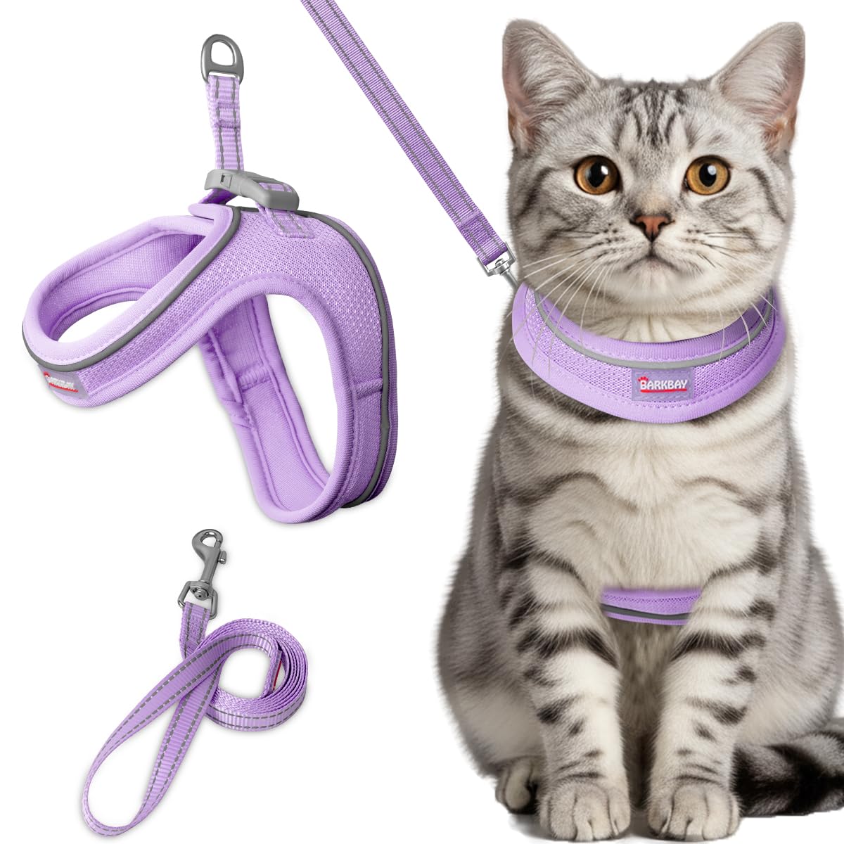 Harnais pour chat anti-fugue violet XXS idéal pour voyage et marche