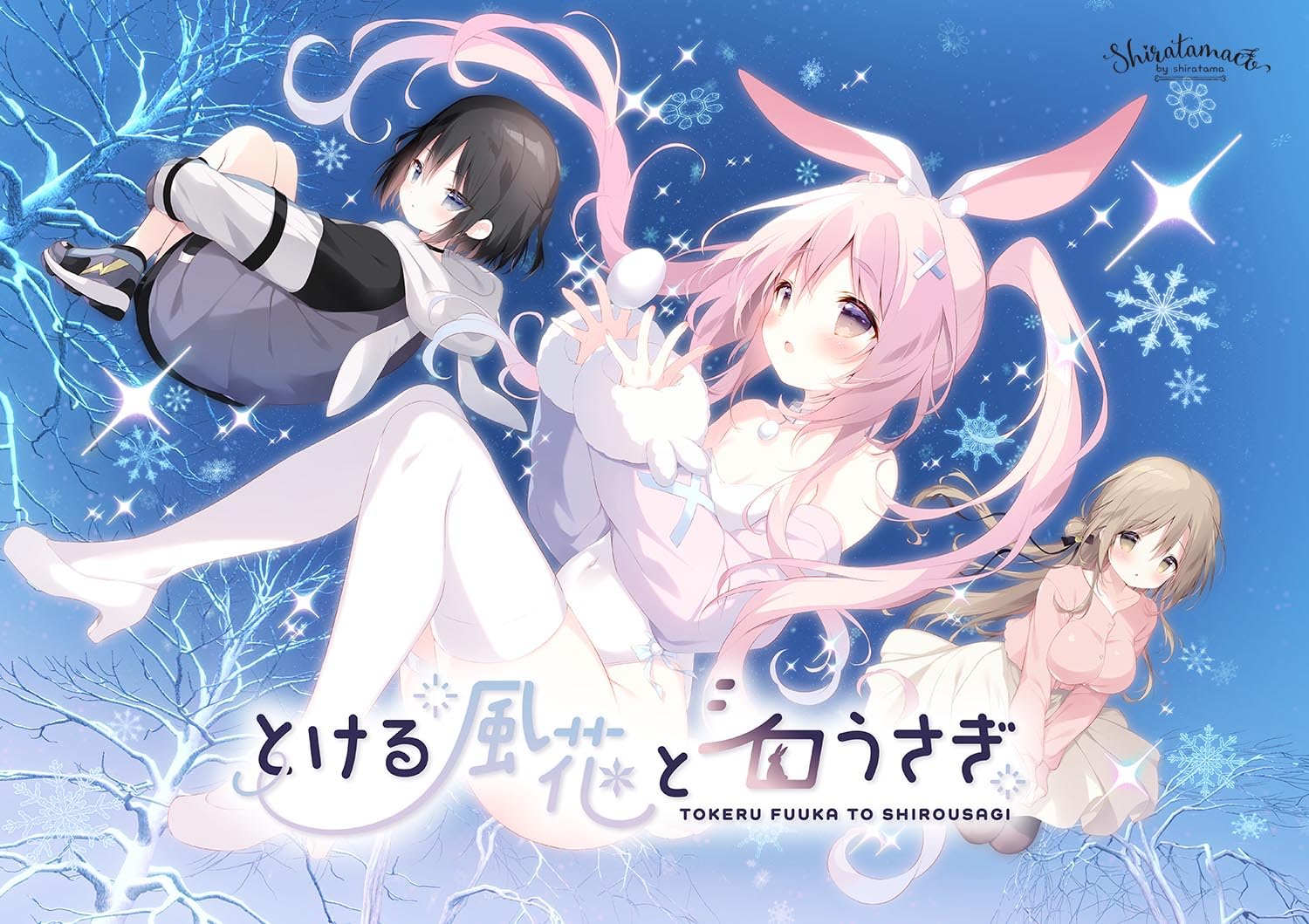 とける風花とシロウさぎ セット Amazon | とける風花とシロうさぎ 有償特典セット付 | PCゲーム | PCソフト
