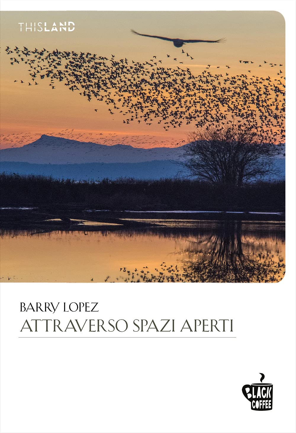 Attraverso Spazi Aperti - 4