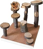 Hamiledyi Natural Apple Wood Hamster Climbing Platform - Stable Playground Stand for Dwarf Hamsters, Syrians, Gerbils, Mice & Rats