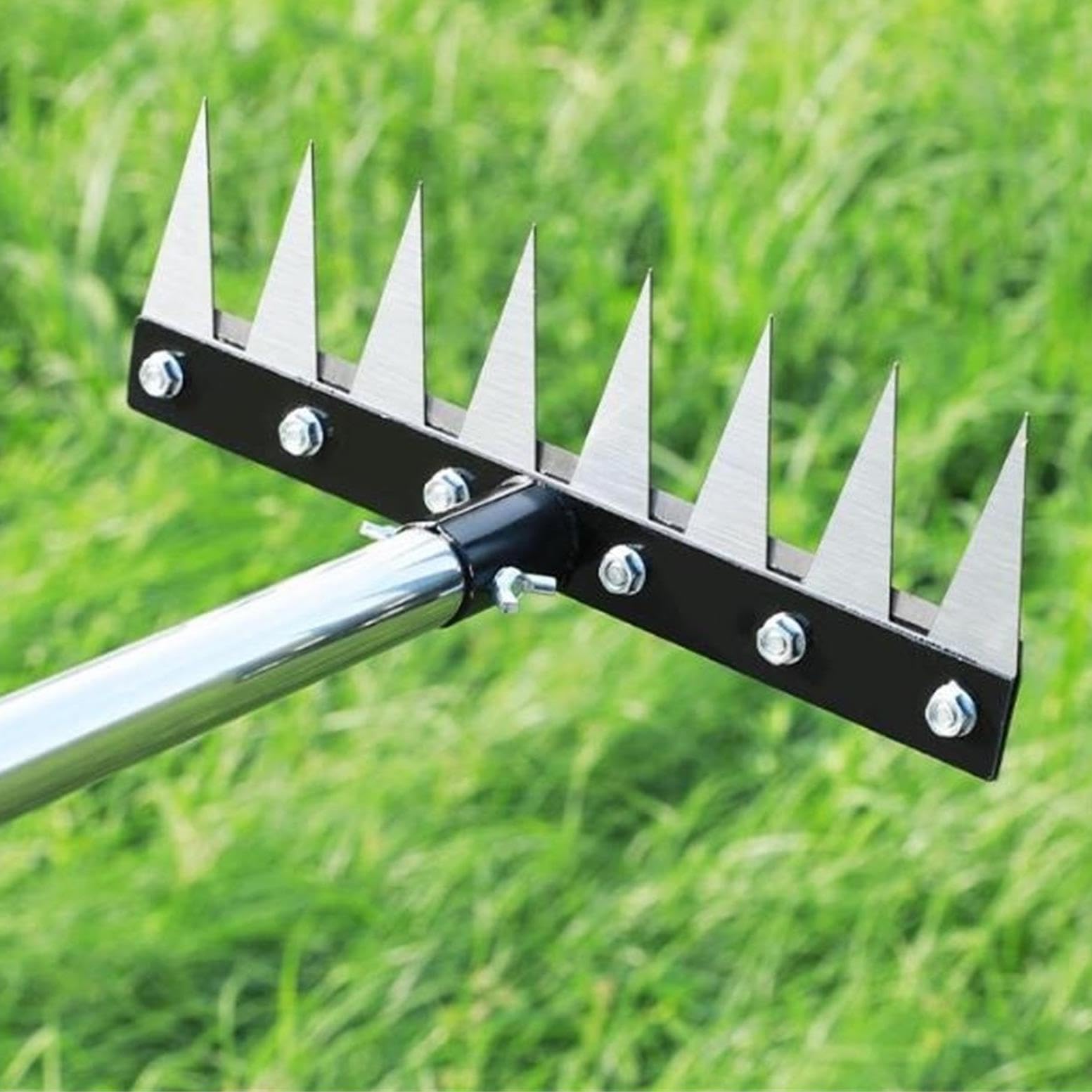Rastrello Dethatching 8 denti resistenti Manico regolabile Attrezzo da giardino in ferro in acciaio inossidabile for allentamento del terreno da diserbo