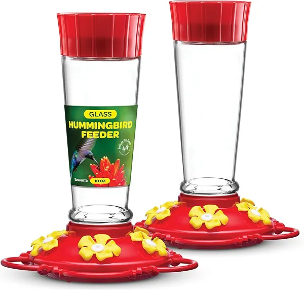 Hummingbird Feeder 10 oz [Set of 2] Glass Feeders for Outdoors, with Built-in Ant Guard - Circular Perch with 5 Feeding Ports - Wide Mouth for Easy Filling/2 Part Base for Easy Cleaning