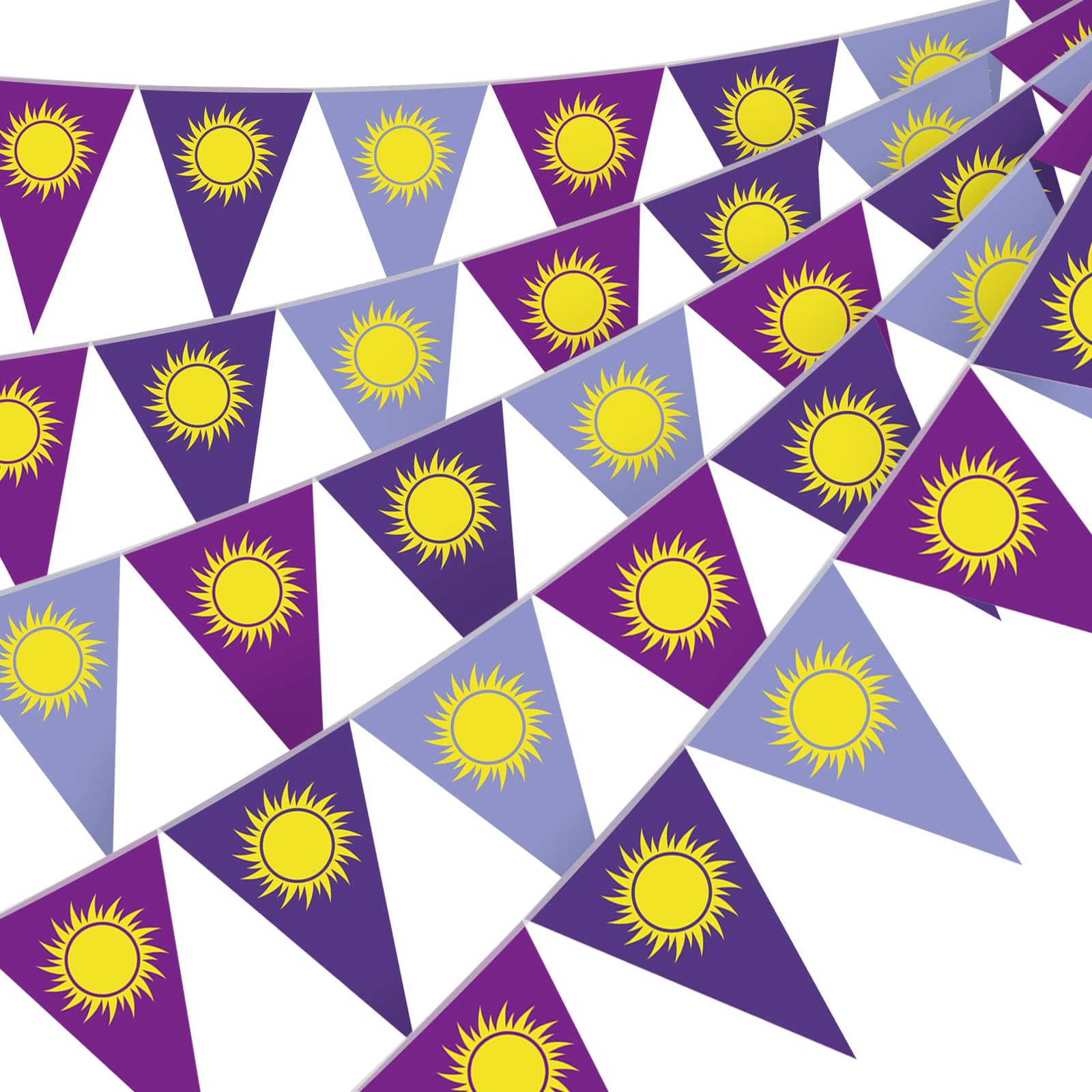 HESTYA 5 Pcs Tangled Birthday Party Banner Purple Sun Pennant, 49 Ft