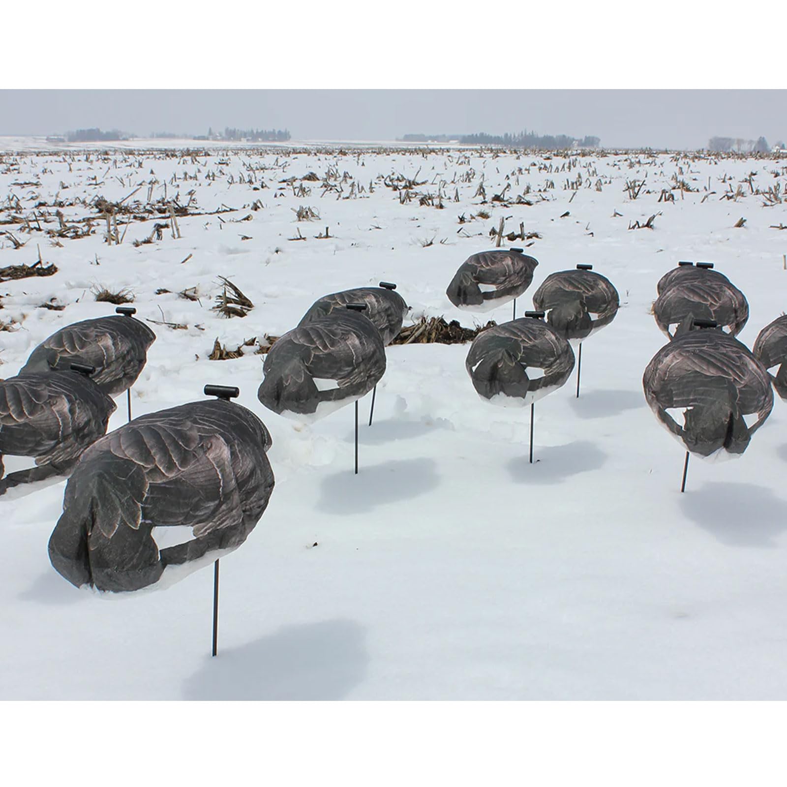 Amazon.co.jp: White Rock Decoys カナダグースデコイ : ホーム＆キッチン