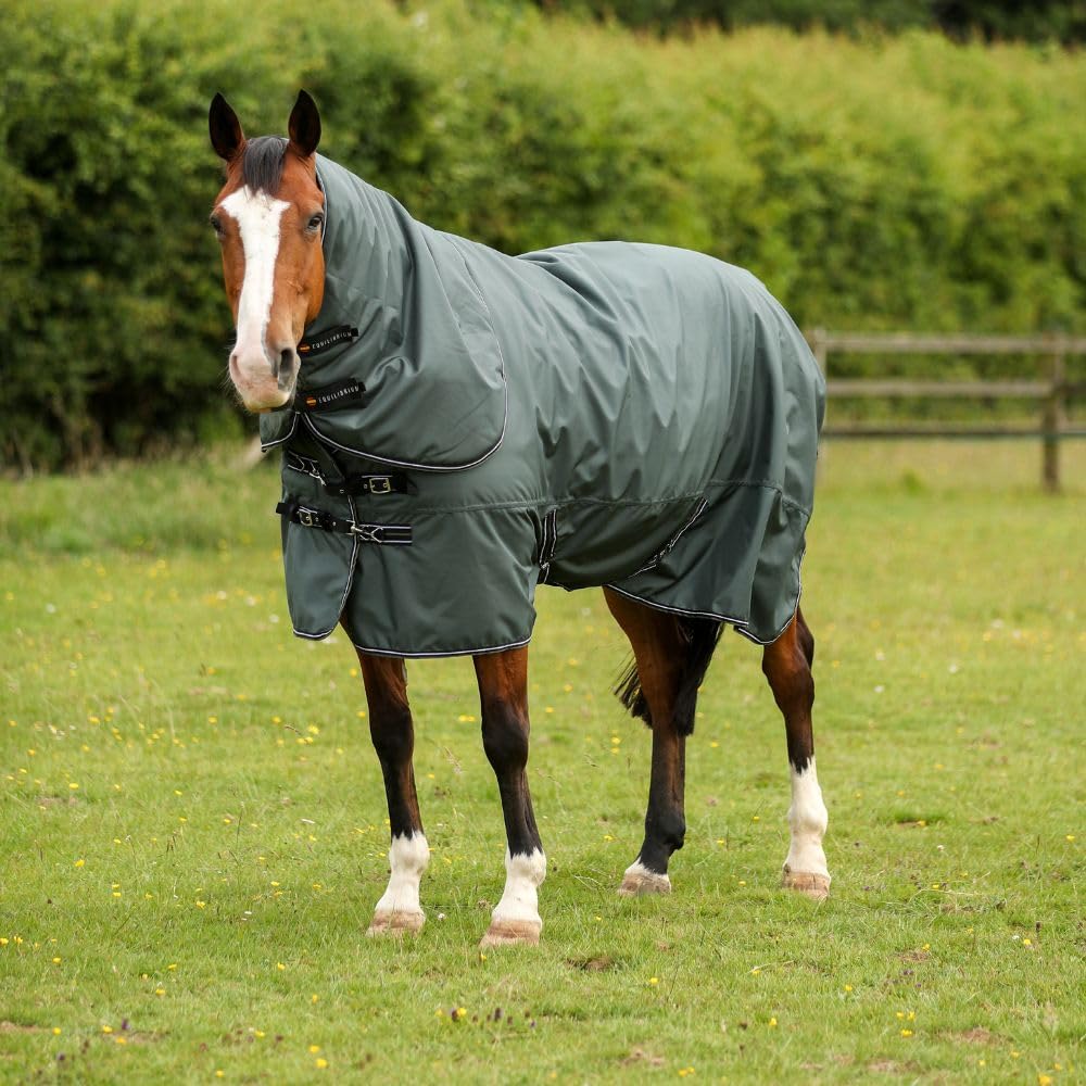 Equilibrium Endure 200g 1680D Turnout Rug (6'9)