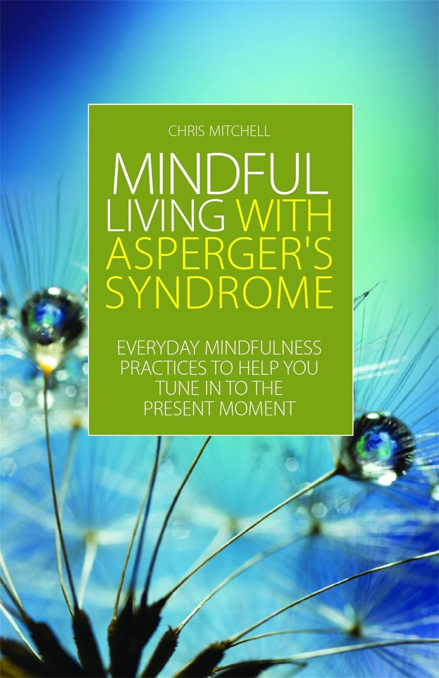 Mindful Living With Aspergers Syndrome: Everyday Mindfulness Practices to Help