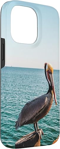 Vista 54 de iPhone 11 Pelican Case