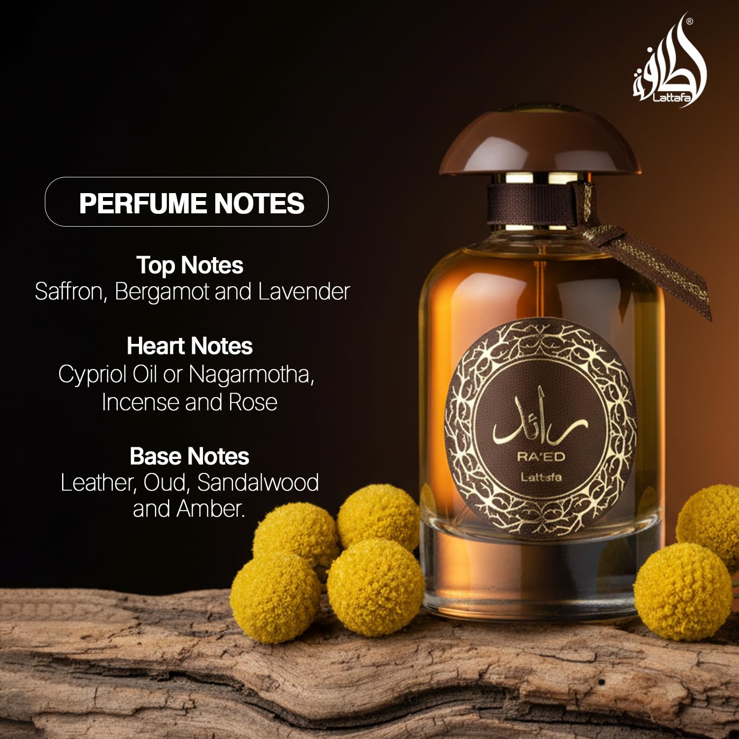 Lattafa Raed Oud for Man Eau de Parfum Spray, 3.4 Ounce : LATTAFA