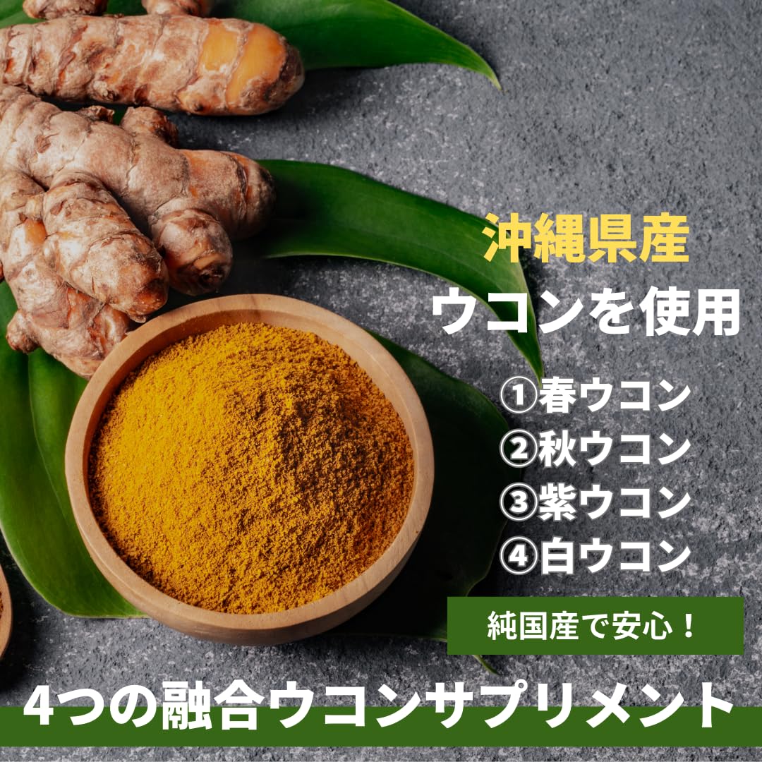 Amazon | 沖縄県産ウコン100％使用 ウコン将軍NEO 10袋セット 沖縄県産 