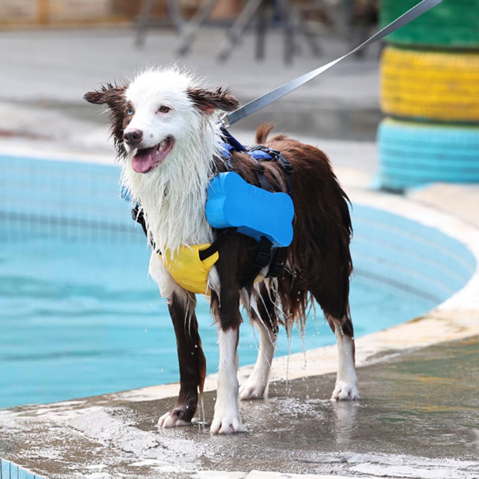 Gilet de sauvetage pour chien - Ceinture réglable - Dispositif de flottaison pour la natation et le bateau - Grand appareil flottant - Équipement d'eau
