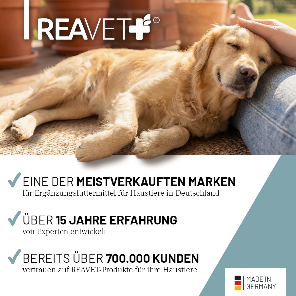 ReaVET Senior Complete Pulver für ältere Hunde, Seniorenhunde – zur Unterstützung von Gedächtnis- & Herzfunktion, mit Grünlippmuschel & Taurin für Beweglichkeit & Vitalität im Alter I 250g