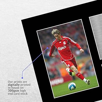 フェルナンドトーレス引退試合直筆サイン入りボール Amazon.co.jp: フェルナンド・トーレス 直筆 サイン 入り 8×10
