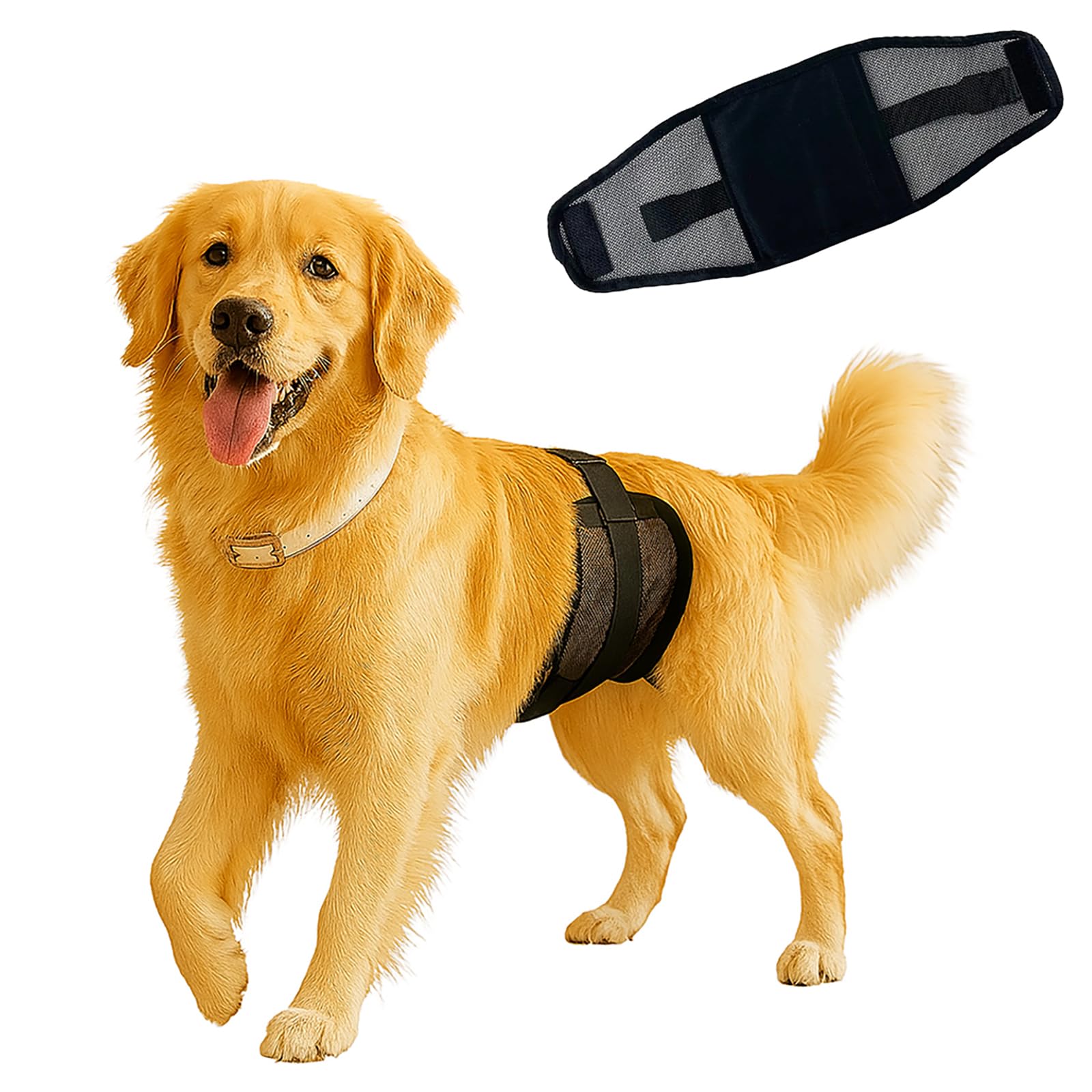 3PC Rüdenwindeln – Wiederverwendbare & waschbare Bauchbänder für Hunde, atmungsaktives Air-Mesh-Gewebe; für Hunde & Welpen bei Inkontinenz, Aufregungsurinieren und beim Training (L)