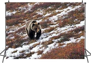 7x5FT Photography Backdrops Bear Meandering Down Snowy Slope Background Cloth Portrait Photo Booth Studio Prop Banner Photographers Home Office Decor Supplies