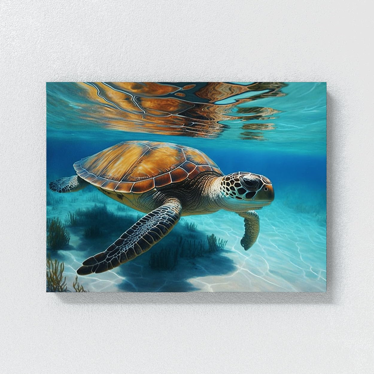 Amazon.com: Sense Canvas Turtle Realistic Sea 7 Canvas Art - Home