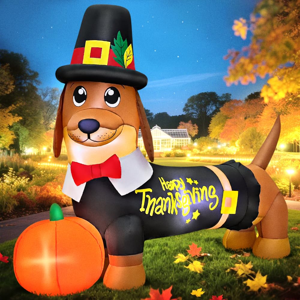 KOOY 5FT Dachshund with Pumpkin