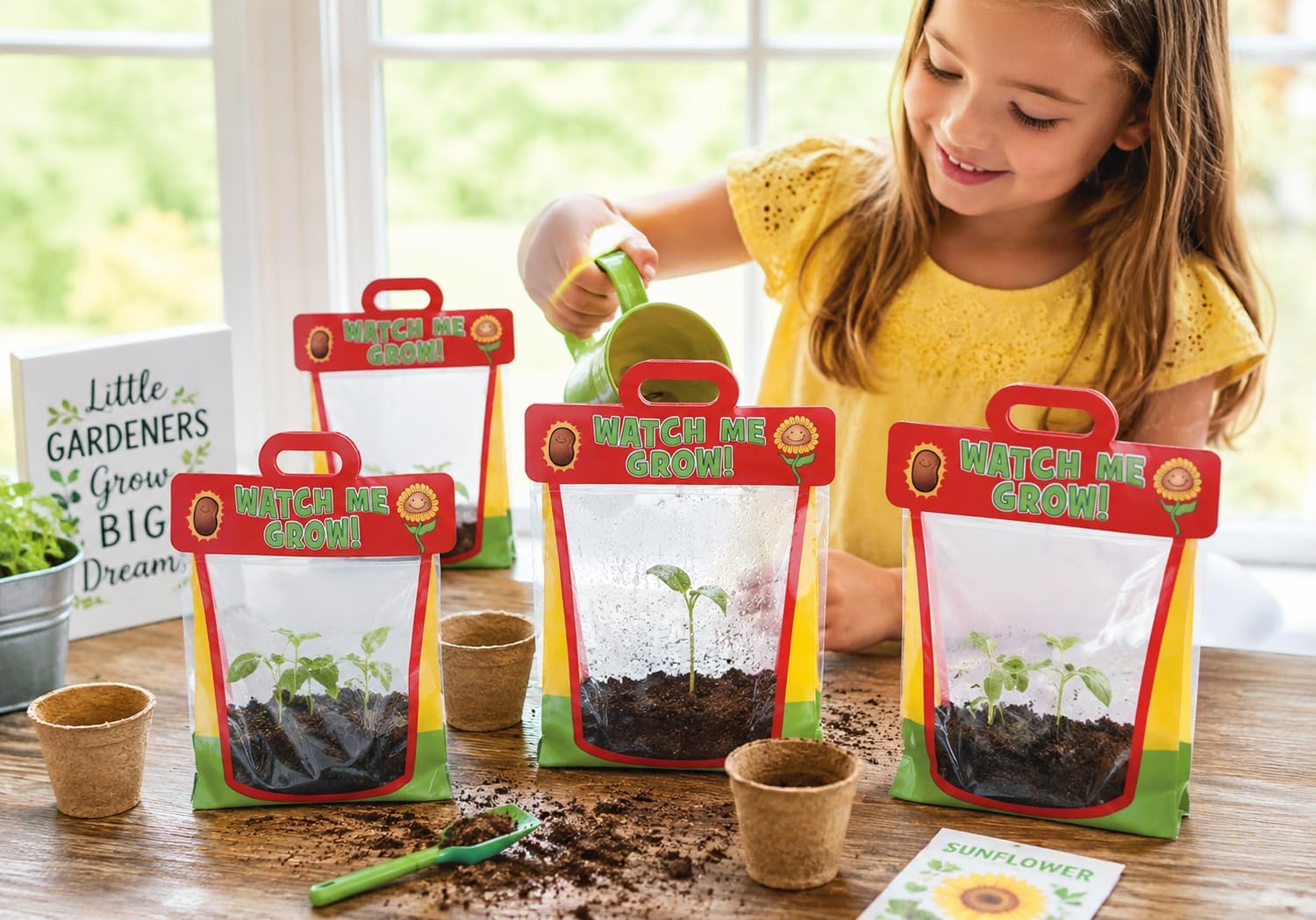 Fun Express Clear Vinyl Pocket Greenhouses - 12 Pack Kids STEM Gardens image 3