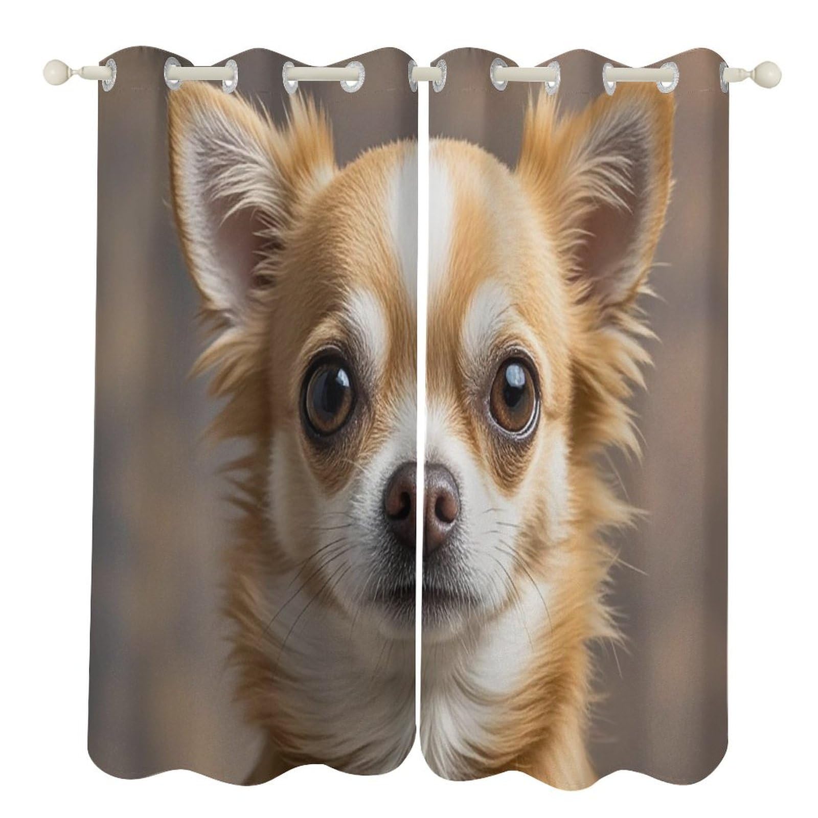 Rideaux occultants contre le froid et le vis-à-vis avec motif chihuahua mignon pour fenêtres