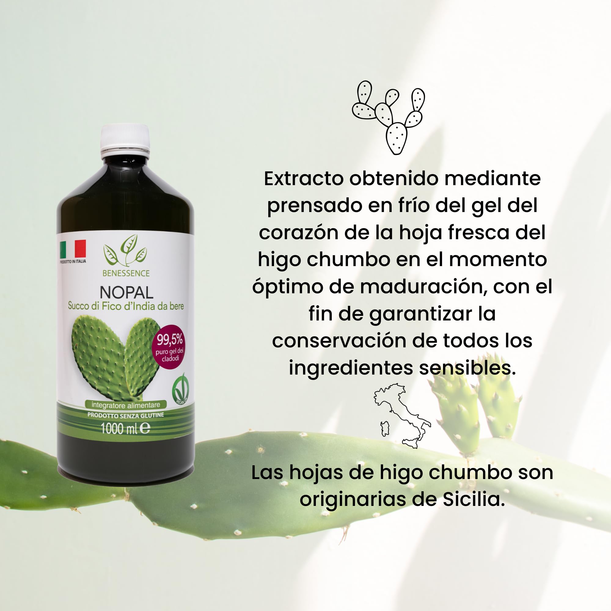 Benessence Nopal Zumo de higo chumbo 99,5% 1L