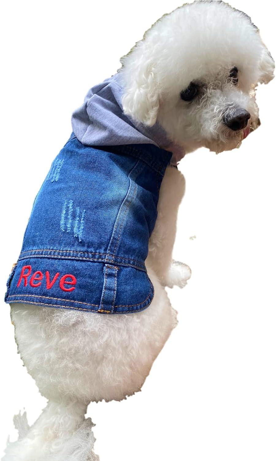 Personalized Dog Hoodie, Denim Jeans Jacket Coat for Small to Medium Dogs, Custom Denim Hoodie Vest with Embroidered Name for Girls and Boys (Medium (Back 9.2", Chest 15.2"))