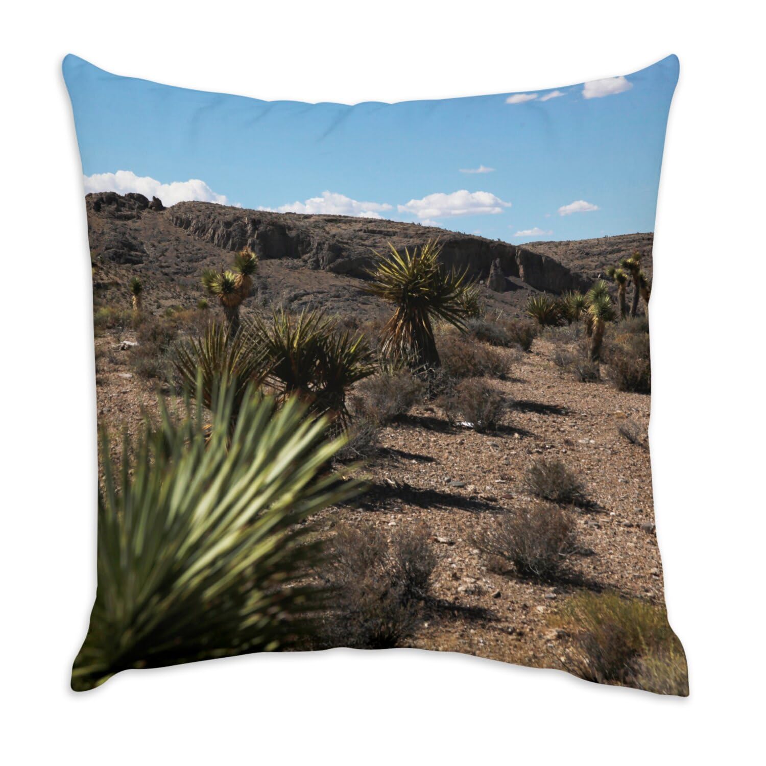 Coussin en velours agave apporte une touche de désert californien au salon
